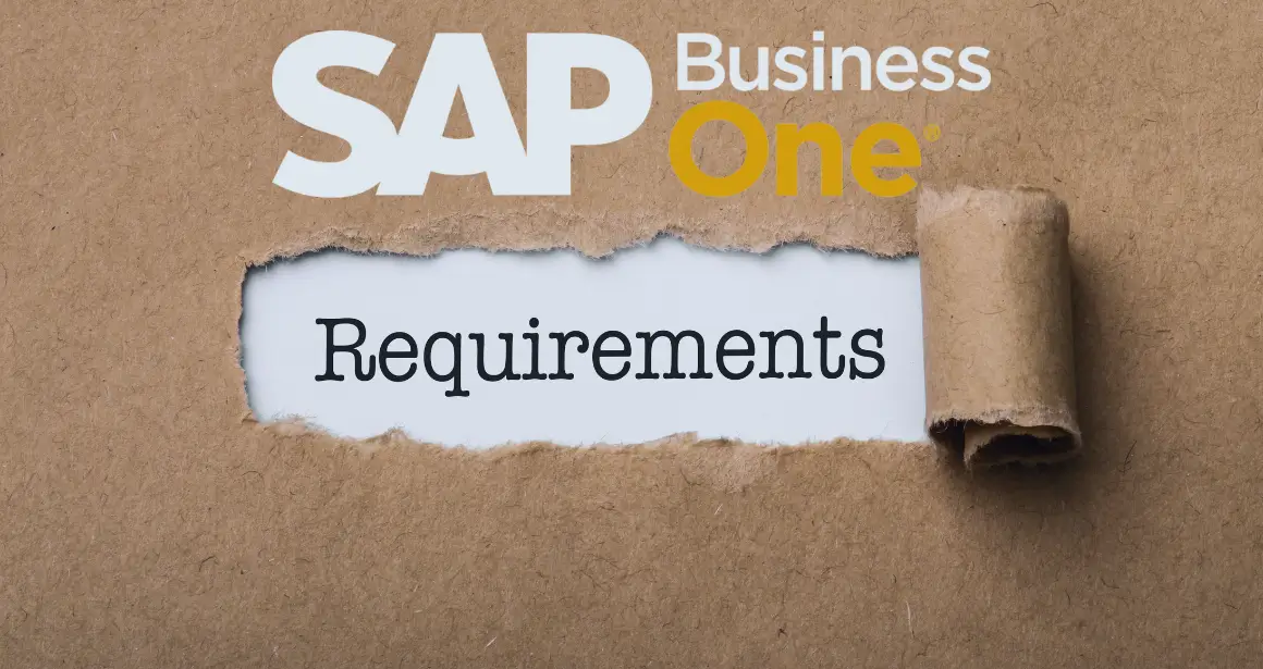 SAP Business One Requirements - A guide to database options, implementation, and best practices.